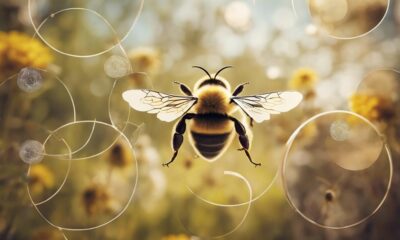 bees have extensive foraging