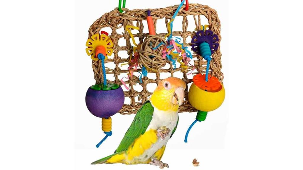 bird foraging mat toy