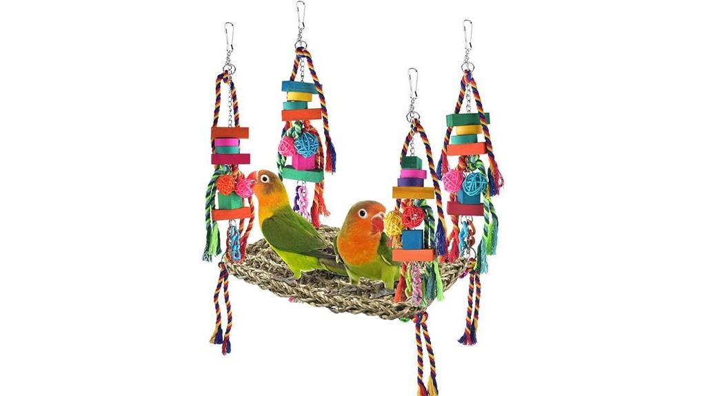 bird toy for foraging