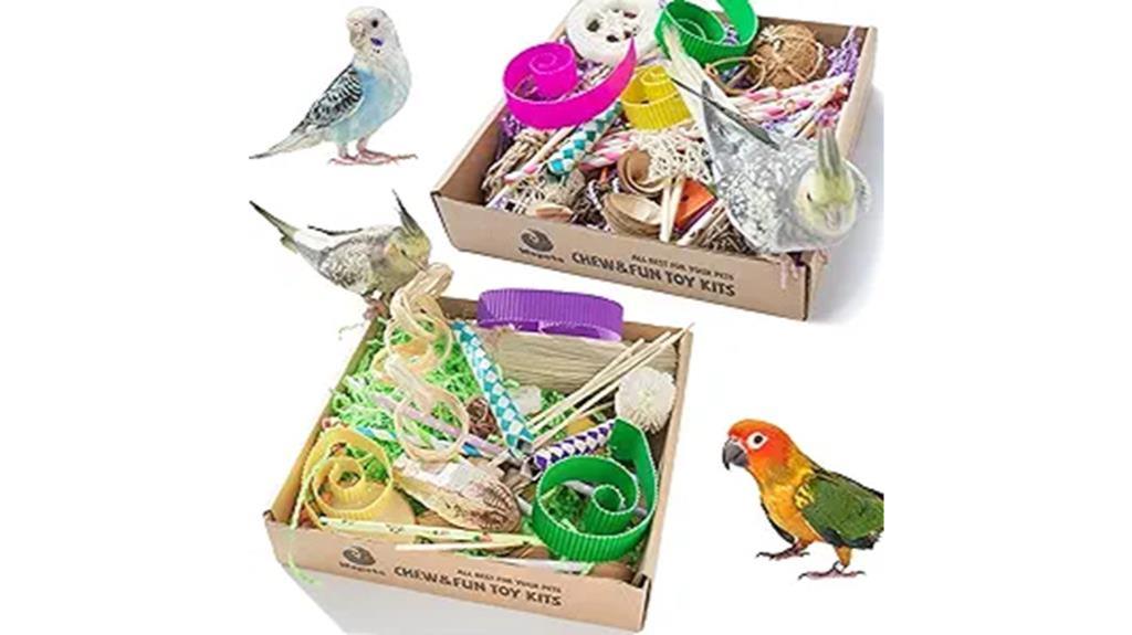 bird toy variety box