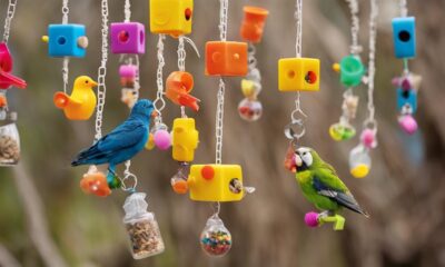 birds toys for foraging