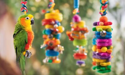 conure toys for mental stimulation
