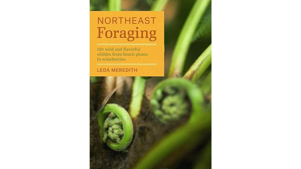 edibles in northeast foraging