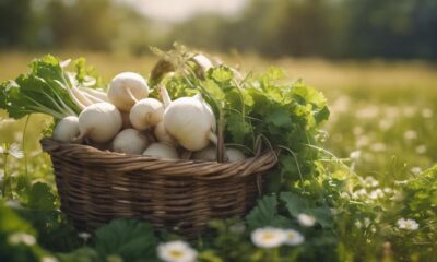forage turnips edible secrets