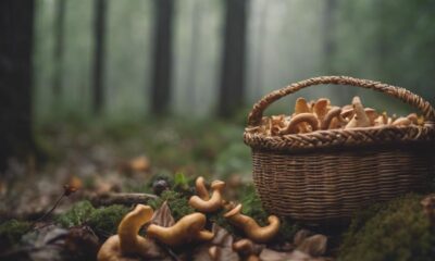 foraging for wild edibles