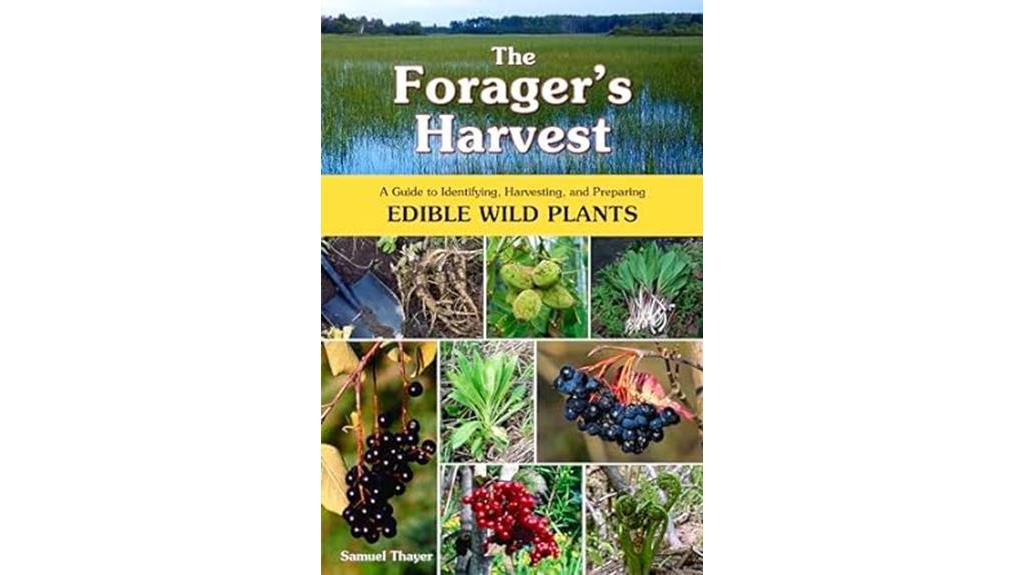 foraging wild edible plants