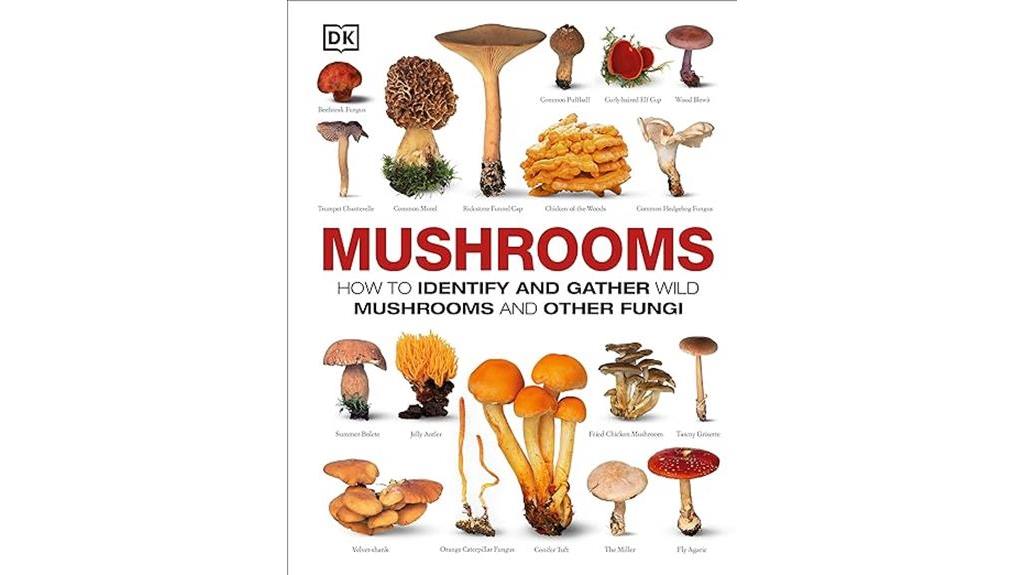 identifying and gathering mushrooms