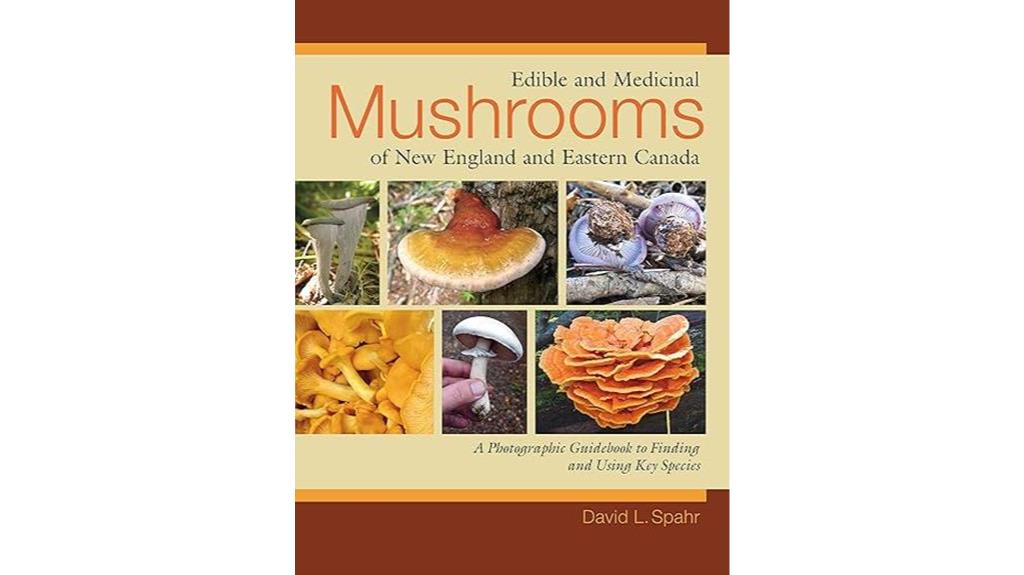 identifying mushrooms in nature