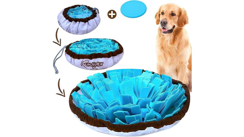 interactive toy for dogs