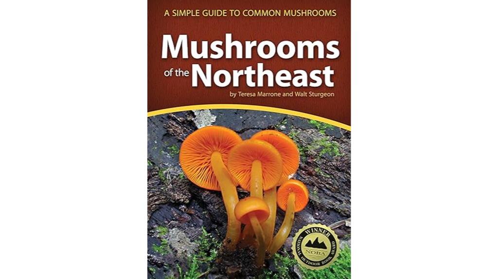 northeast mushrooms field guide