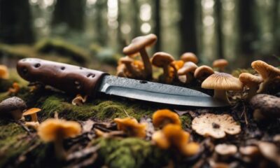 top knives for mushrooming