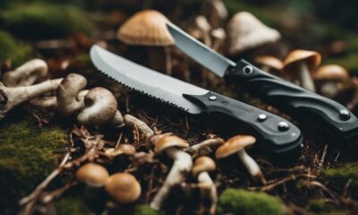 top mushroom foraging knives