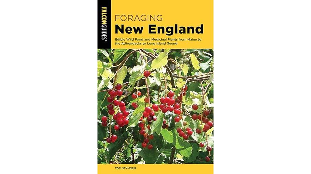 wild food in new england