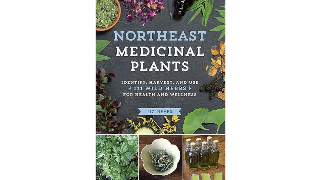 wild herbs in northeast
