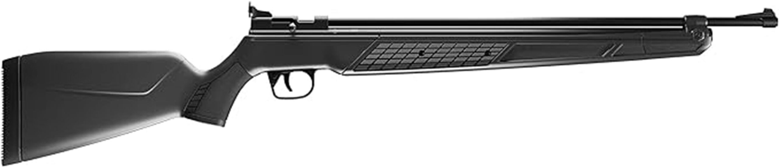 powerful 22 caliber pump rifle