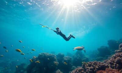 beginner s guide to spearfishing