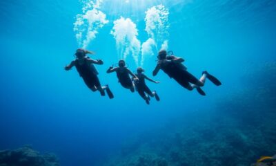 freediving course local opportunity