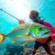 sunny spearfishing adventures await