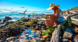 coastal foraging field stories