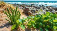 edible coastal plants guide