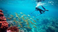 sustainable spearfishing conservation practices