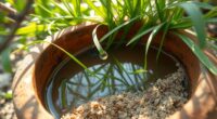 basic natural water purification
