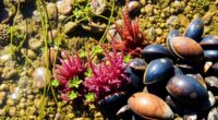 seafood and seaweed pairing
