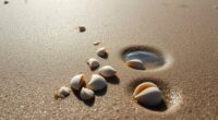 spotting buried clams after storms