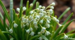 bold aromatic herb pair