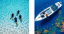 dive type safety strategies