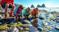 intertidal exploration with children