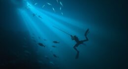 night diving safety tips