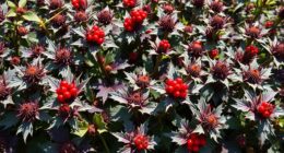 poisonous plants deter pets