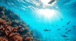 visit protected marine areas