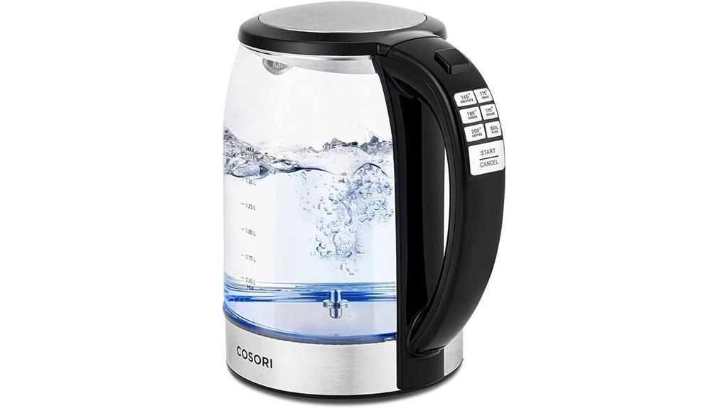 electric kettle with temperature control