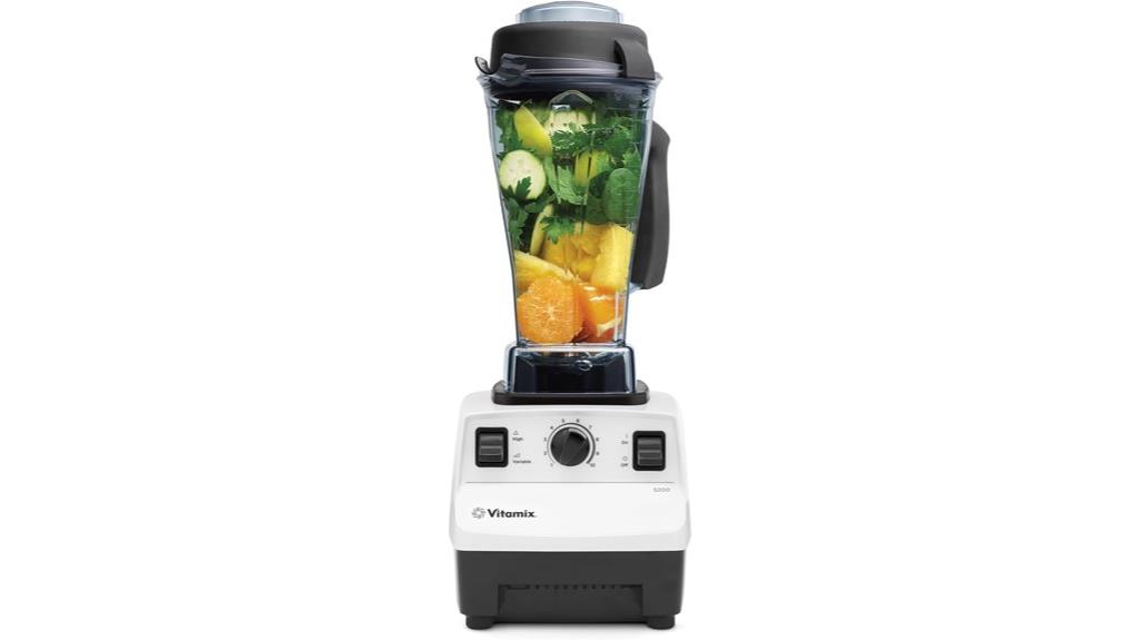 professional grade high performance blender