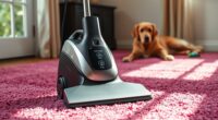 top portable pet carpet cleaners