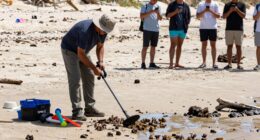 beach detecting rules ignored