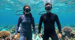 cold water diving gear comparison