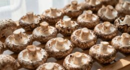 crispy snap mold prevention