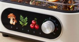 dehydrator temp guide