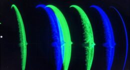 interpreting fish finder arches