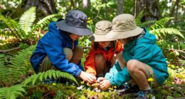 kids foraging safety rules