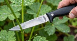 precise pruning promotes recovery