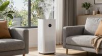 wildfire smoke purifier tips