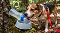 avoiding dehydration during hikes