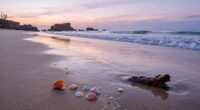 beach treasures shift suddenly