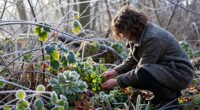 cold mornings enhance flavors