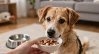 consistent feeding reduces stress
