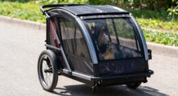 dog trailer heat buildup